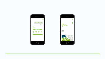 威海農(nóng)業(yè)品牌形象塑造 從Logo設(shè)計(jì)到移動(dòng)應(yīng)用開發(fā)的全方位升級(jí)